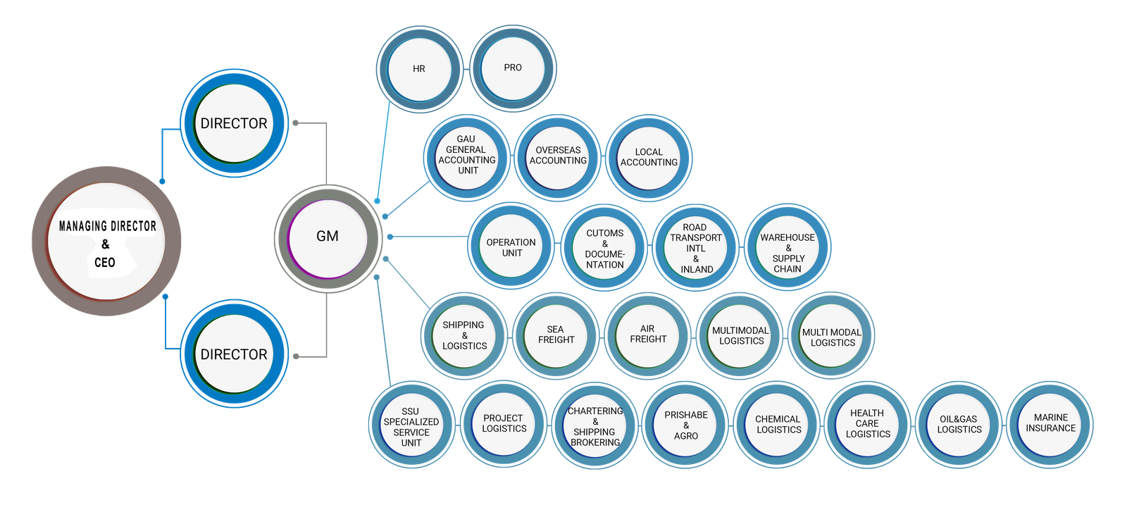 Organization Structure